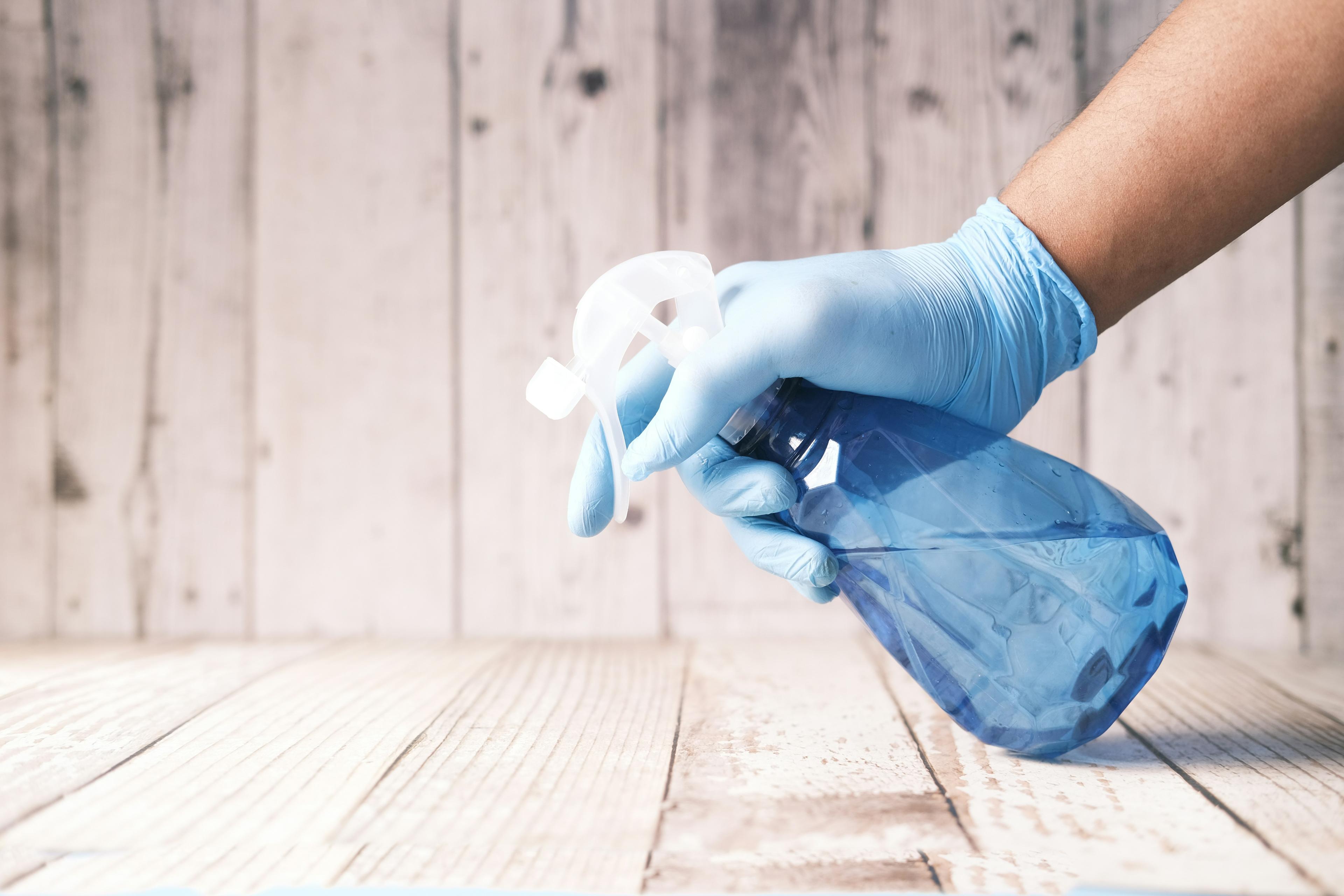 Professional cleaning team at work